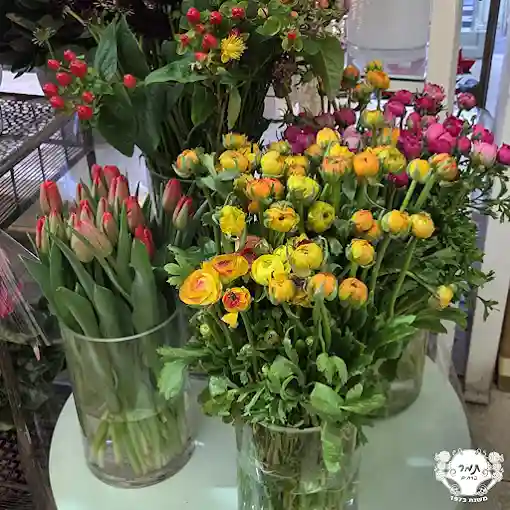 הזמנת פרחים לנס ציונה מהיום להיום