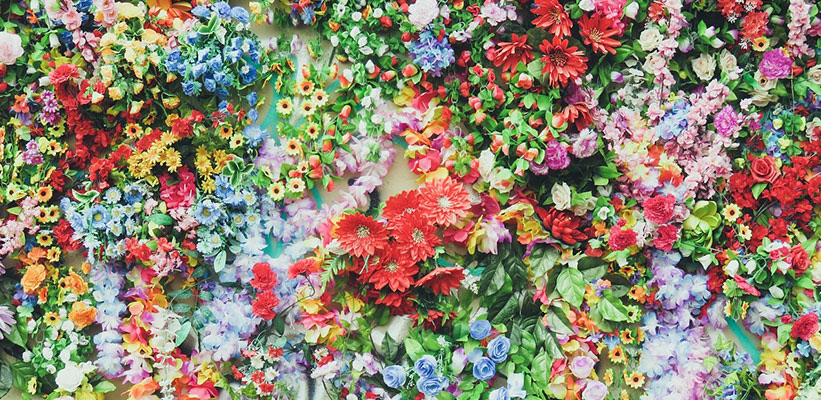 רקע עם הרבה פרחים צבעוניים