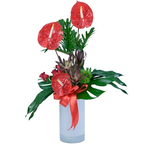 סידור אנטוריום