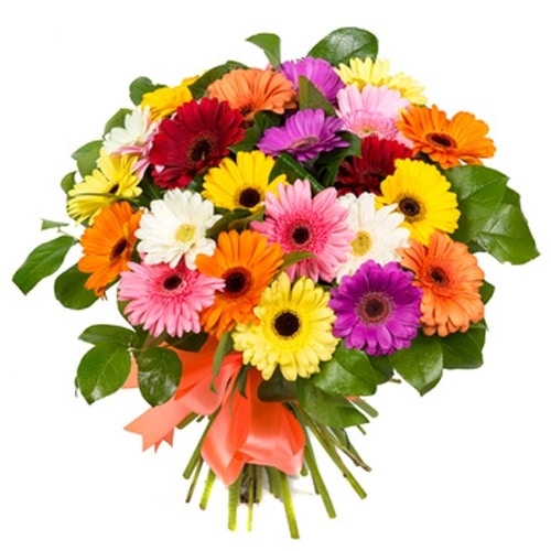 פרחים תמר – משלוחי פרחים בראשון לציון