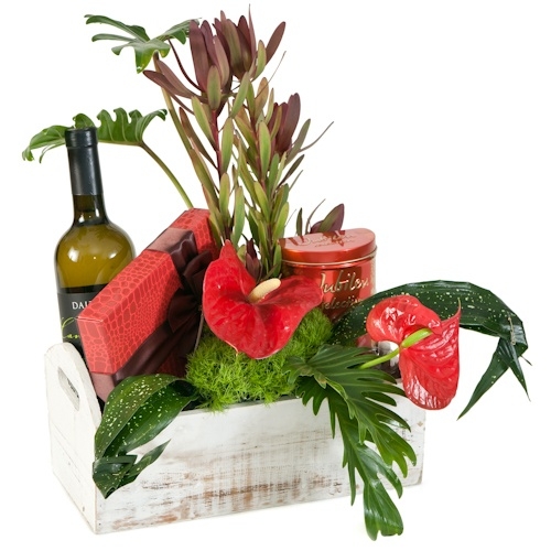 סימפוניית החלומות