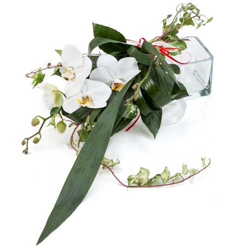 זר סחלבים מעוצב