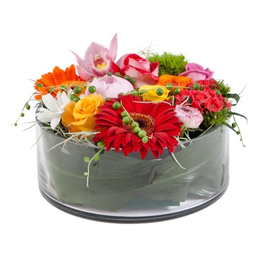 קומפוזיציה צבעונית