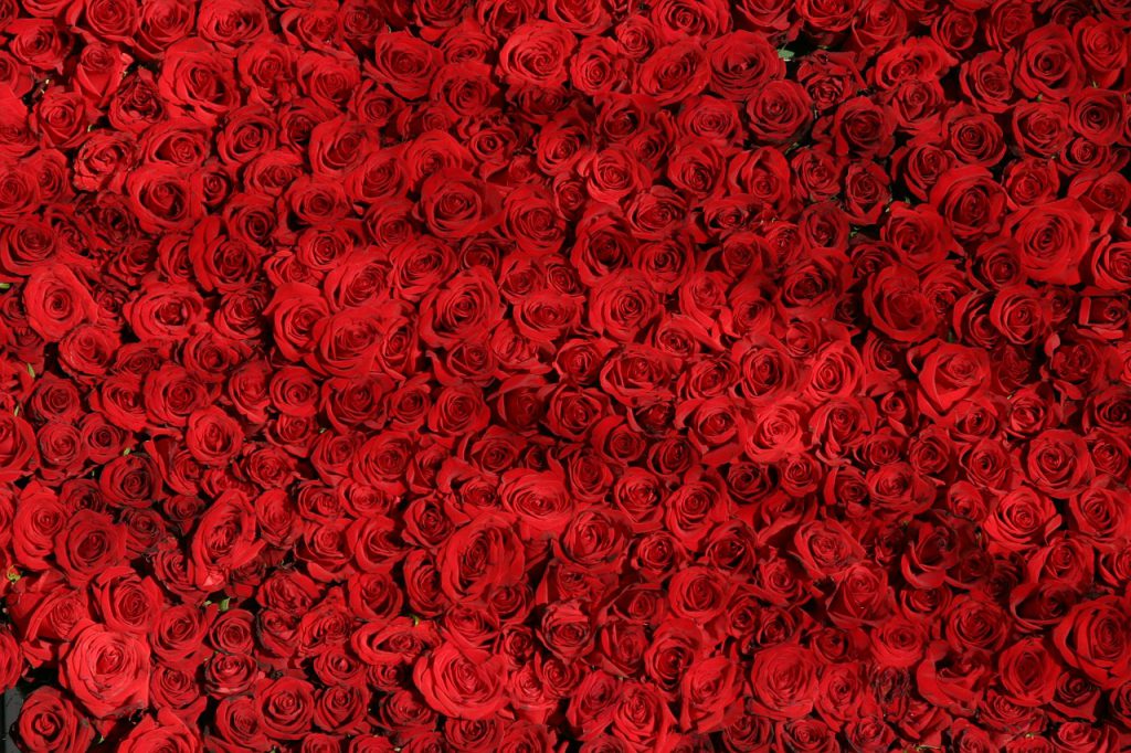 סידור פרחים אדומים