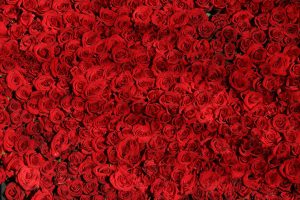 סידור פרחים אדומים